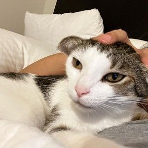 Meet your Posher, Weihao